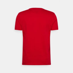 T-Hilfiger T-shirt (Demo)